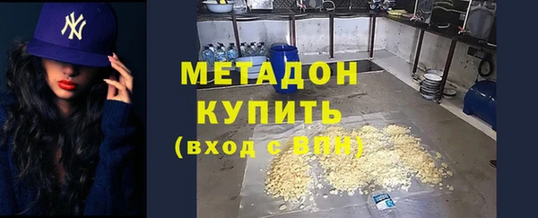 индика Снежногорск