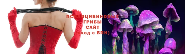 бошки Сосновый Бор