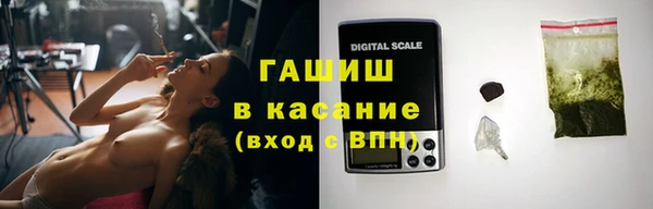 индика Снежногорск