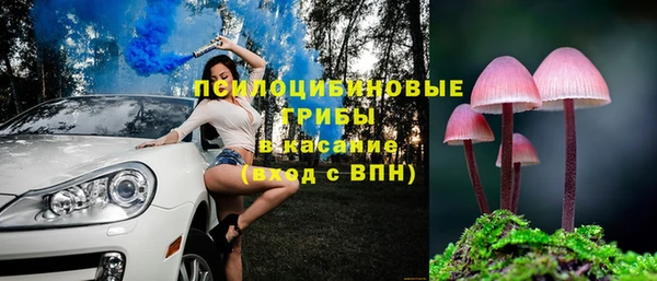 бошки Сосновый Бор