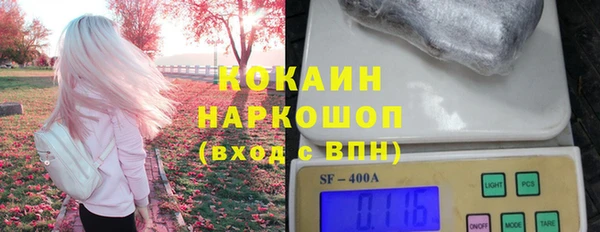 индика Снежногорск