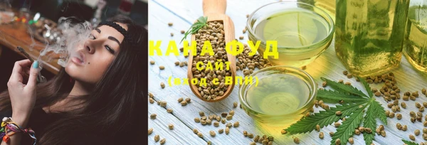 индика Снежногорск
