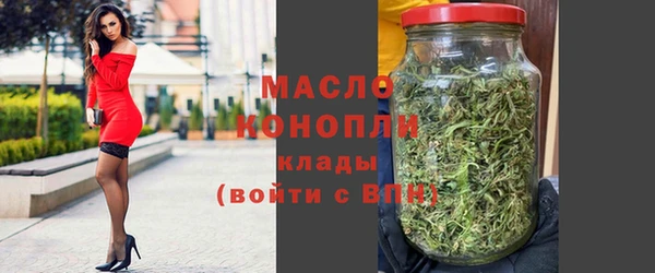 индика Снежногорск
