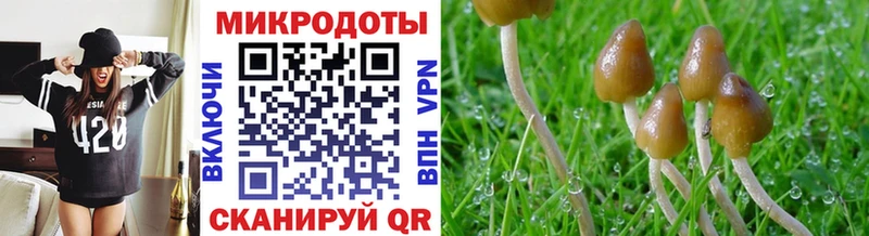 Псилоцибиновые грибы ЛСД  Купить закладки  Поворино 